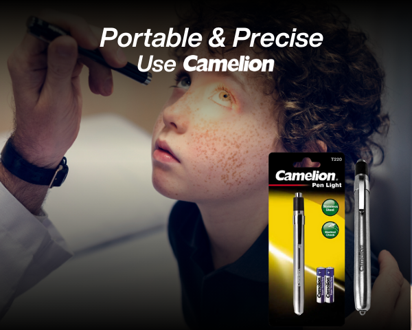 Camelion camelion