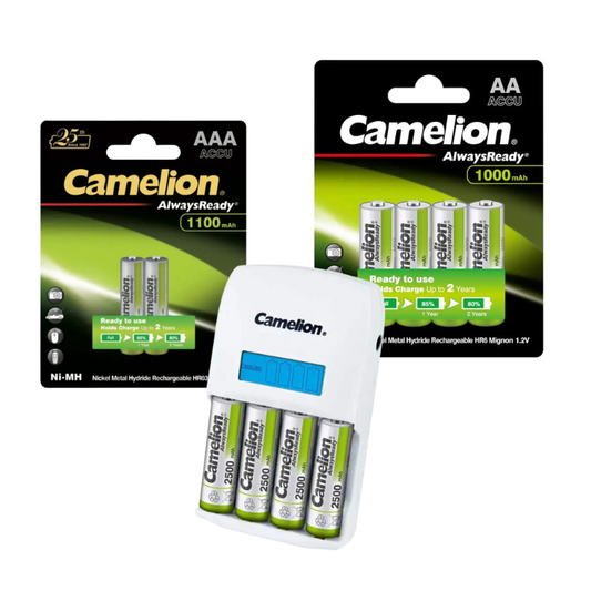 Charger BC 907 + 1000 mAh AAA4 & 1100 mAh AA2 batteries