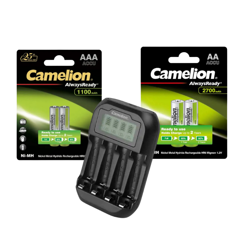 Charger BC 1046 + 2700 mAh AA2 & 1100 mAh AAA2 batteries